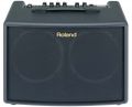 ROLAND AC-60